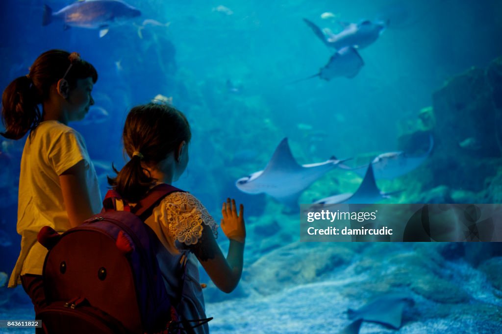 Kids looking at fish in a big aquarium