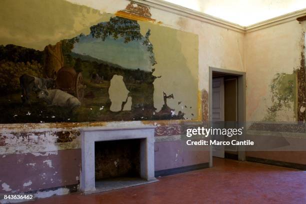 Internal view of the royal palace of Carditello, historically belonging to the royals of Borbone, and in the years abandoned to itself and then...