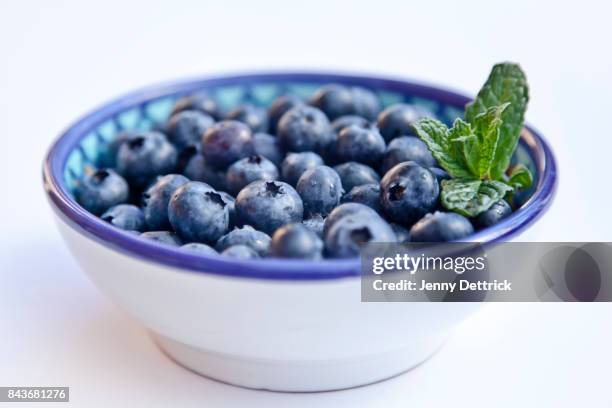 bowl of blueberries - blue bowl foto e immagini stock