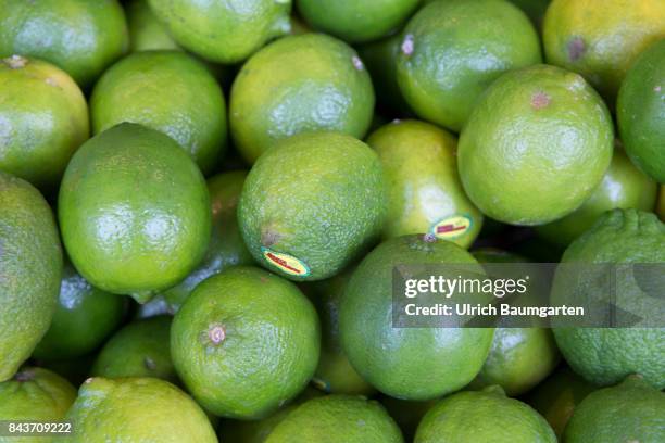 Symbol photo on the topic fruit, nutrition, health, food scandal, etc. The photo shows limes from Brasil.