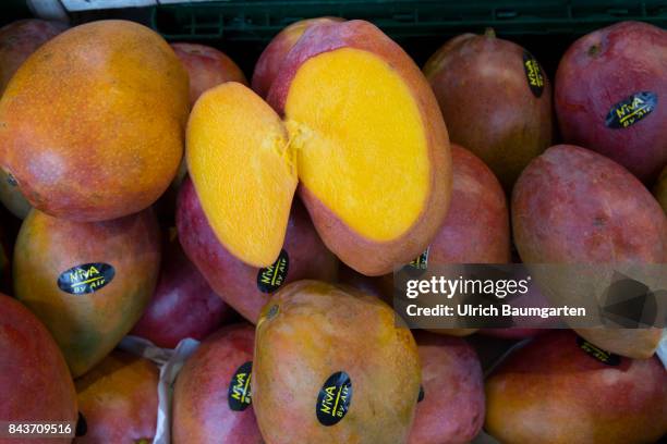 Symbol photo on the topic fruit, nutrition, haelth, food scandal, etc. The photo shows papaya from Mexico.