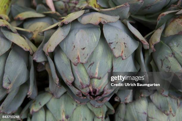 Symbol photo on the topic vegetables, nutrition, health, food scandal, etc. The photo shows artichokes from France.
