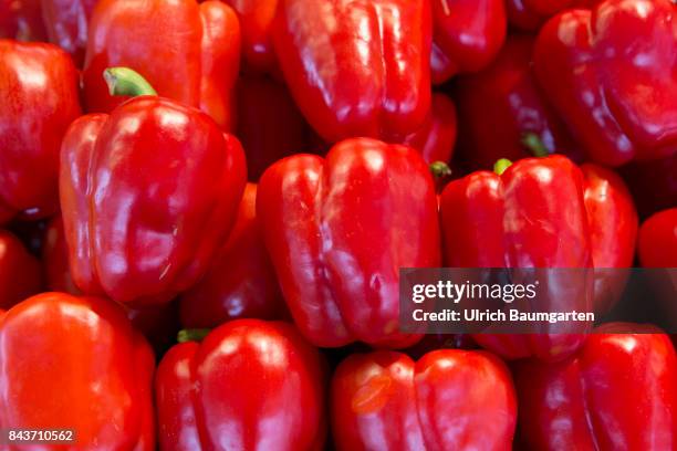 Symbol photo on the topic vegetable, nutrition, health, food scandal, etc. The photo shows red peppers from Spain.