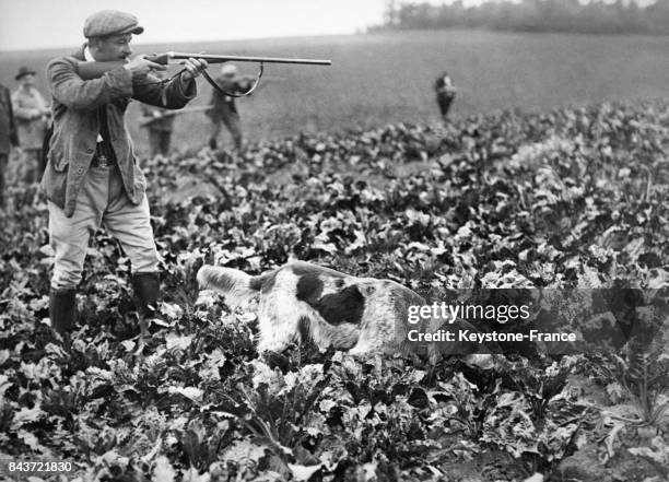 Au milieu d'un champ, un chasseur prêt à tirer avec son fusil, son chien à ses côtés, en France en juillet 1950.