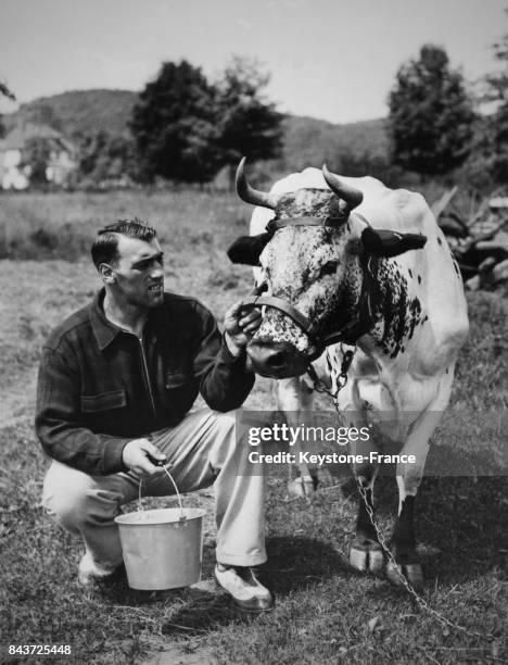 Le boxeur italien Primo Carnera pose à côté d'une vache, un seau de lait à la main, avant son match caritatif en faveur de l'association Milk Fund...