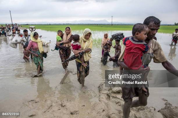 Rohingya Muslims, who fled from recent violence in Myanmar, walk in flooded land after crossing the Bangladesh-Myanmar border in Teknaf, Bangladesh,...