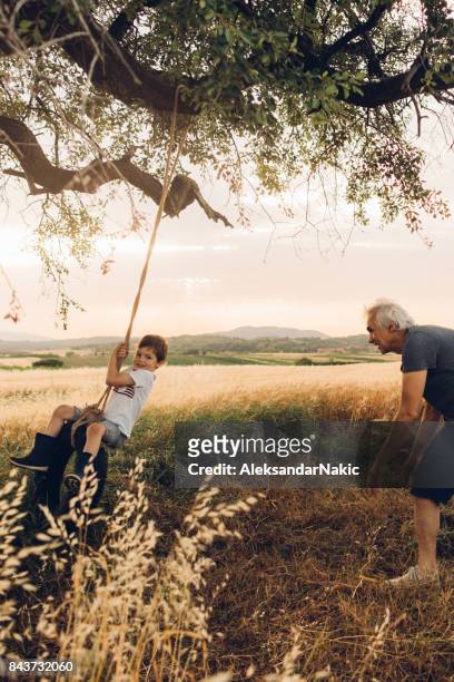 grandfather and grandson - tyre swing stock pictures, royalty-free photos & images