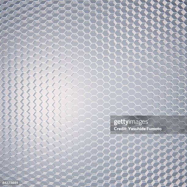 Netted Texture 285 Netted Texture Stock Photos, High-Res Pictures, and Images - Getty ...