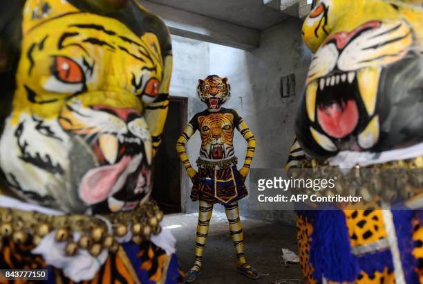 Indian performers pose for a picture with their bodies painted as tigers ahead of the 'Pulikali', or Tiger dance, in Thrissur on September 7, 2017....