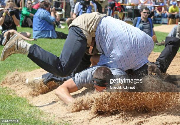 sommer sport - schwingen stock-fotos und bilder