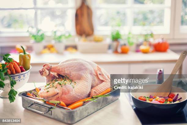 preparing turkey for holiday dinner - cooking chicken imagens e fotografias de stock