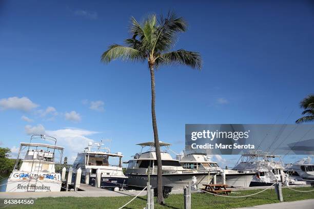 The Founders Park Marina awaits Hurricane Irma in Islamorada, Florida on September 7, 2017. Over 35,000 people have evacuated the Florida Keys ahead...