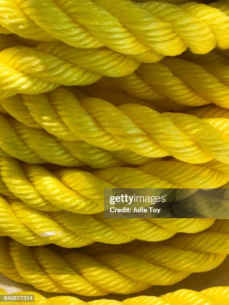 Yellow Rope High Resolution 250 Img 1307 Stock Photos, High-Res Pictures, and Images - Getty Images