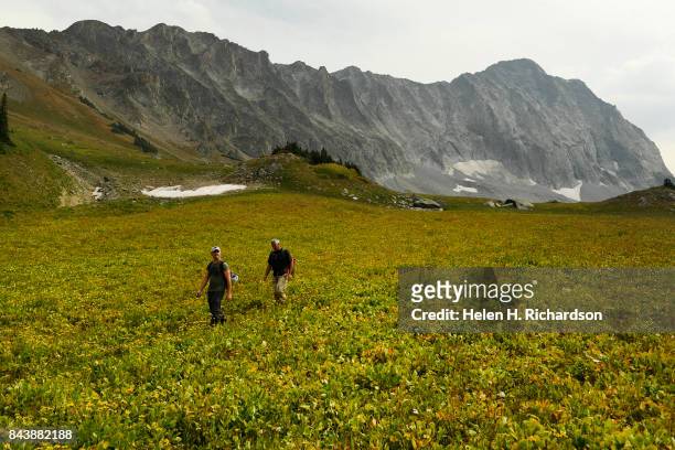 Hikers David Bossert, front, and George Nick head back to their camp site near Capitol Lake with the massive Capitol Peak behind them on September 6,...