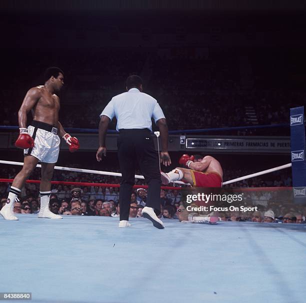 Ali P R Juan Ali Photos and Premium High Res Pictures - Getty Images