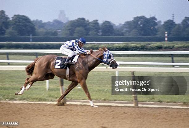 Jockey Ron Turcotte sits atop of Secretariat racing to win the Triple Crown at the Belmont Stakes June 9 at Belmont Park, Elmont, NY.