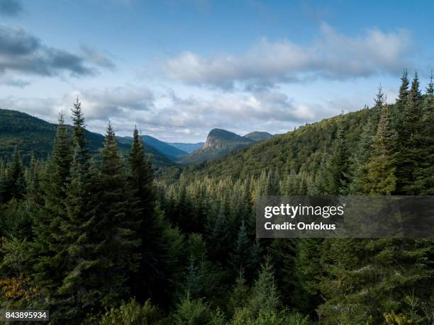Taiga Rocks 3,499 Taiga Forest Animals Stock Photos, High-Res Pictures, and Images ...