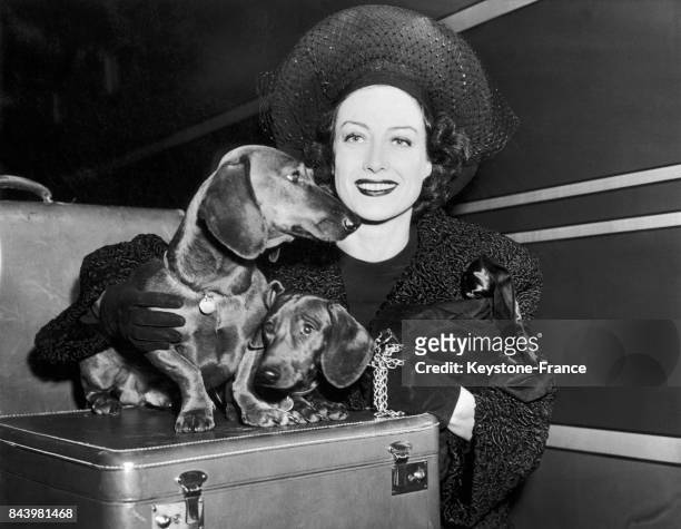 Joan Crawford avec ses teckels Stinky et Poopshin arrivant à la gare de New York, aux Etats-Unis, le 2 janvier 1940.