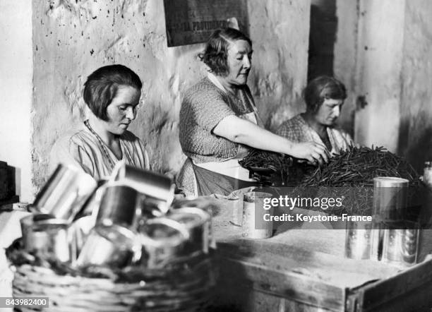 Après la cuisson, les haricots verts sont sont mis en boîte dans une conserverie de haricots verts en France, le 2 avril 1935.