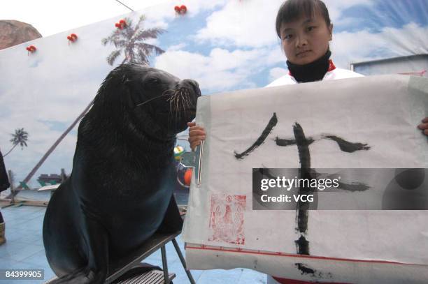 Sea lion Peter writes a Chinese character, "Niu," that means "the ox," with a brush pen on January 21, 2009 in Ningbo, Zhejiang Province, China. It...