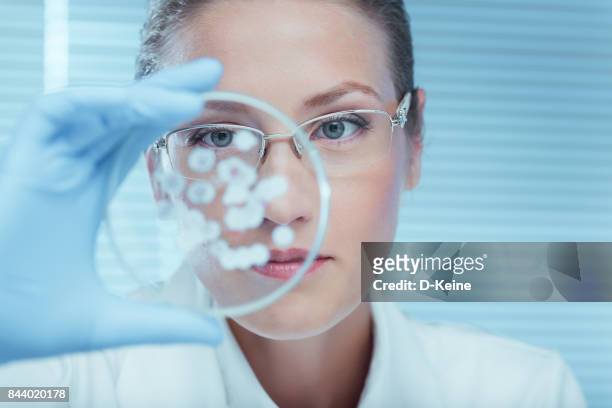 laboratory - bacterium stock pictures, royalty-free photos & images