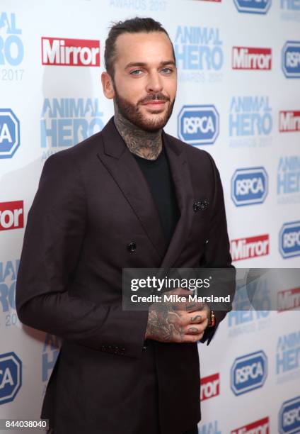 Pete Wicks attends the Animal Hero Awards 2017 at The Grosvenor House Hotel on September 7, 2017 in London, England.