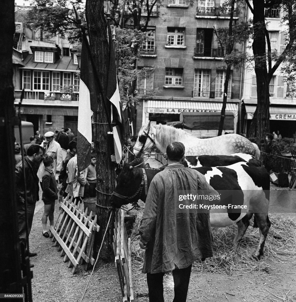 Comice agricole de Montmartre