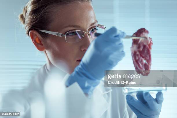 análisis de laboratorio  - microbiologist fotografías e imágenes de stock