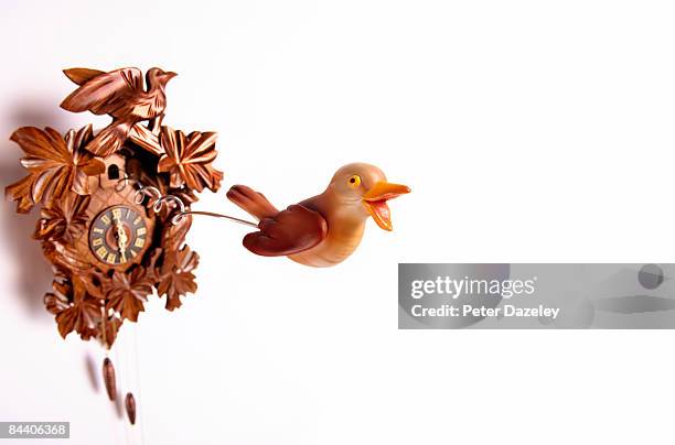 cuckoo coming out of cuckoo clock with copy space - cuckoo clock stock-fotos und bilder