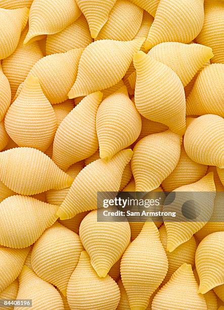 pasta shells - conchiglie photos et images de collection