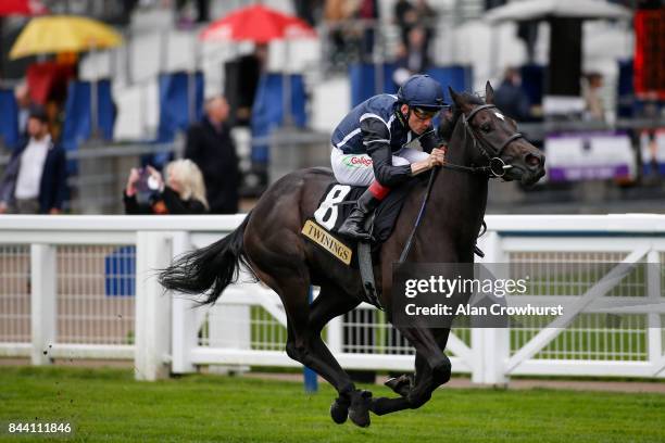 Shane Kelly riding Odyssa win The Twinings Novice Auction STakes at Ascot racecourse on September 8, 2017 in Ascot, England.