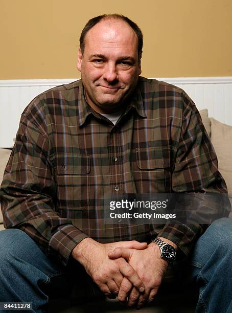 Actor James Gandolfini of the film "In The Loop" poses for a portrait at The Lift during the 2009 Sundance Film Festival on January 22, 2009 in Park...