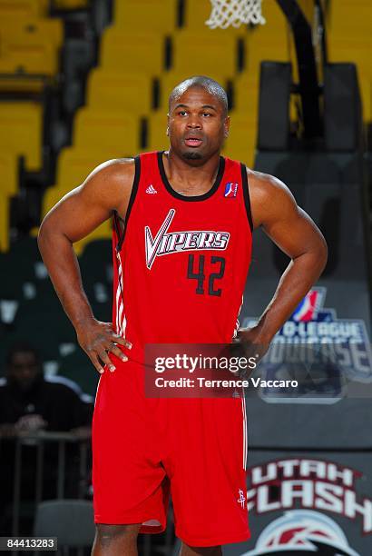 Alton Ford of the Rio Grande Valley Vipers looks on during a game against the Sioux Falls Skyforce in the NBA D-League Showcase at McKay Events...