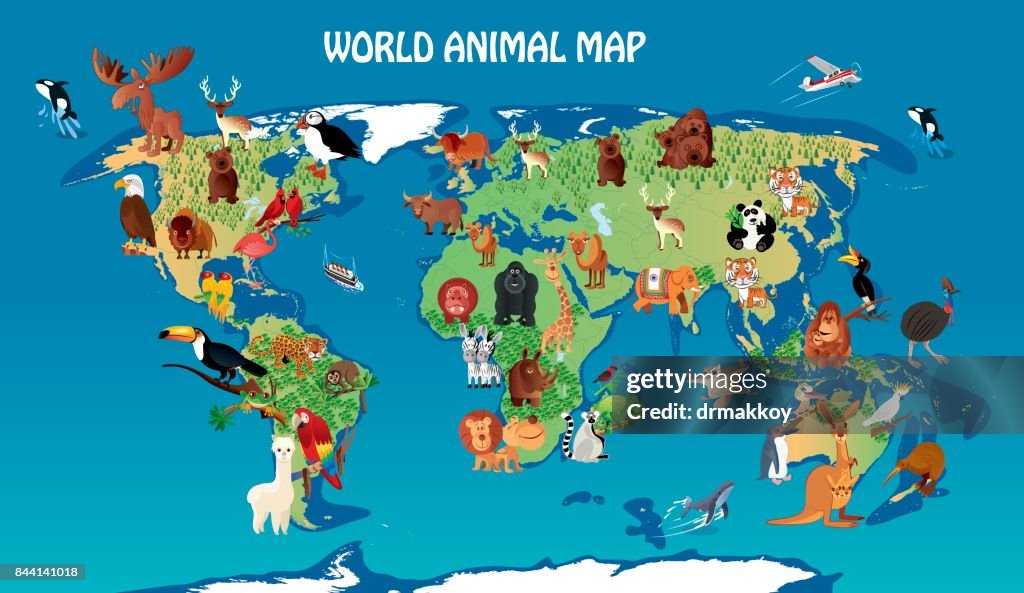 World Animals Cartoon Map
