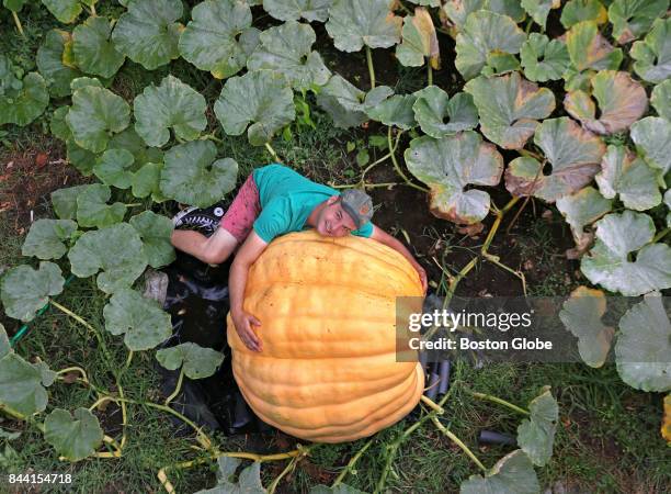 Revere resident Christian Ilsley poses with the giant pumpkin he is growing in his backyard in Revere, MA on Sep. 6, 2017. He plans to hollow it out,...