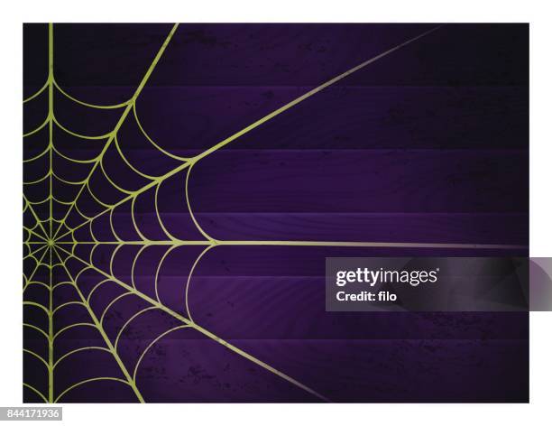 spider web background - spider web background stock illustrations