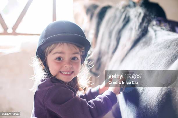 little girl brushing her pony - animal riding stock pictures, royalty-free photos & images