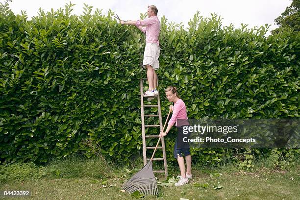 couple working in garden - doing a favor stockfoto's en -beelden