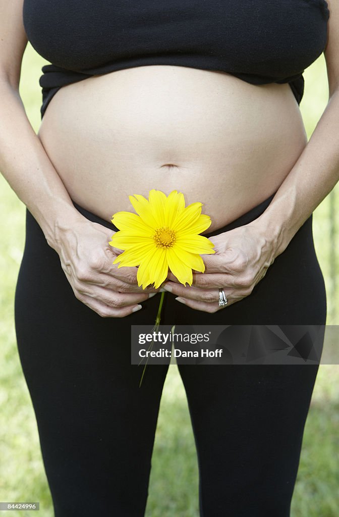 Pregnant woman holds sunflower