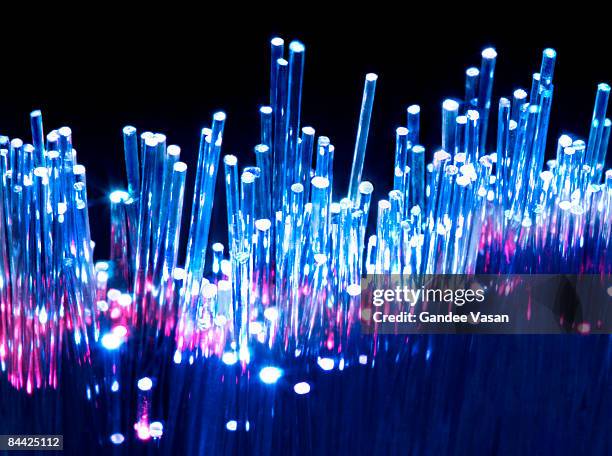 fibre optics - gandee 個照片及圖片檔