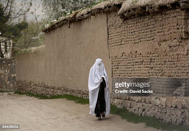 afghan woman - afghan bildbanksfoton och bilder