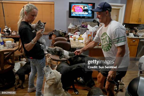 Gretchen and Ron Levine of A Paw Above in Hollywood are taking care of 20 dogs and 21 cats as they've been inundated with pet care requests by people...