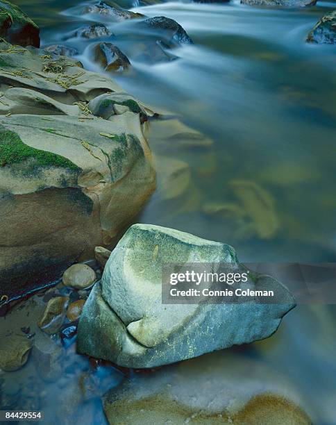 polished rocks in a slow moving stream. - brooke coleman stock pictures, royalty-free photos & images