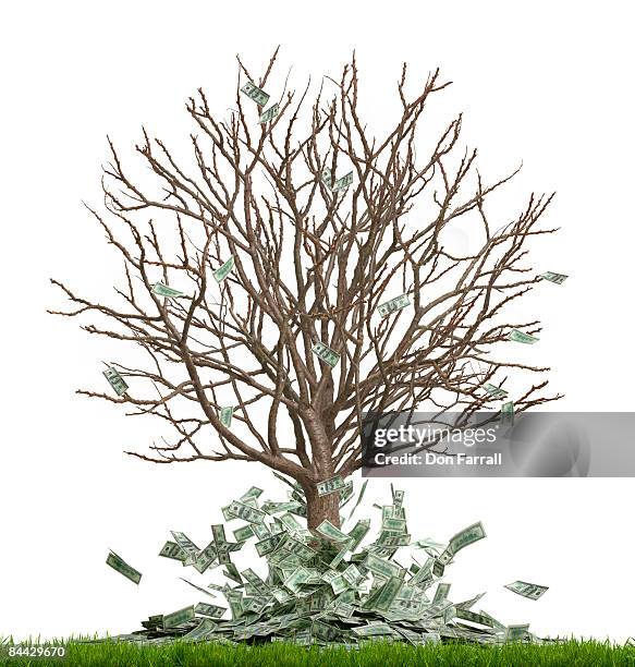 Money Tree Ripped Up Money Tree Money Falling Off White Background High-Res Stock Photo ...