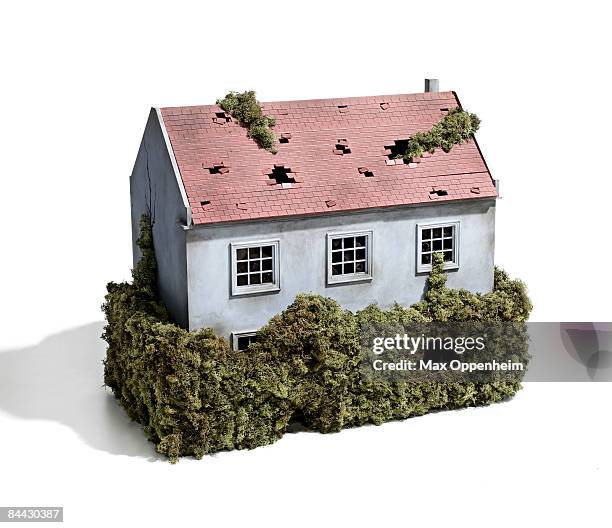 abandoned house being invaded by hedges - overgrown hedge stock pictures, royalty-free photos & images