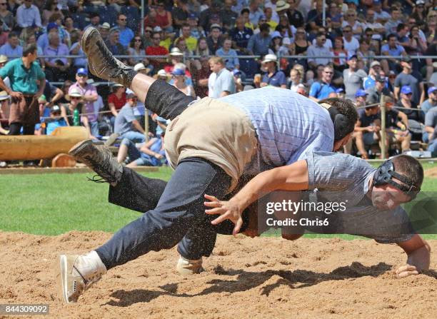 ich gotcha - schwingen schweiz stock-fotos und bilder
