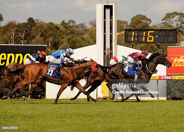 Dean Holland riding Blacken crosses the line to win race seven the AARE Handicap at Betfair Park Race Day held at Betfair Park January 24, 2009 in...