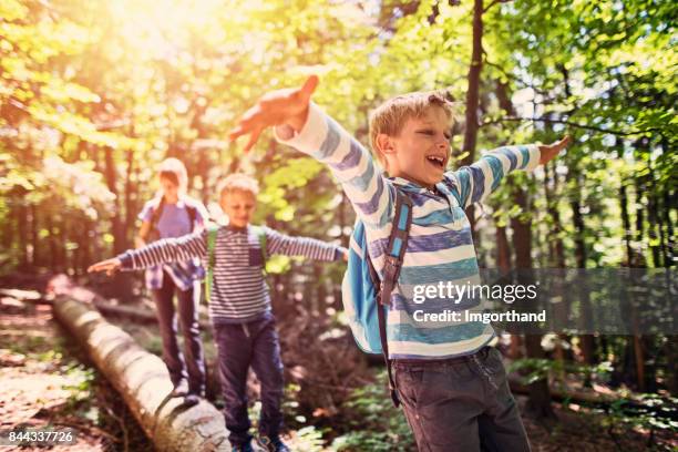 piccoli escursionisti che camminano su un tronco d'albero nella foresta - solo bambini foto e immagini stock
