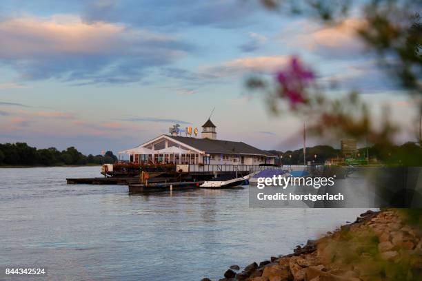restaurant floating boathouse albatros, cologne, germany - floating restaurant stock pictures, royalty-free photos & images