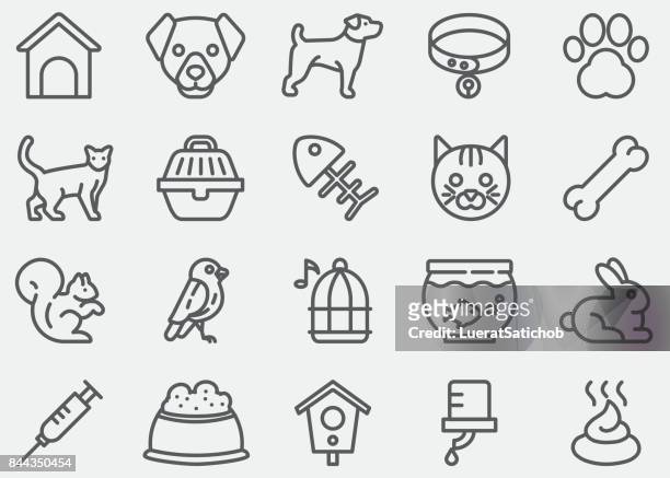 illustrazioni stock, clip art, cartoni animati e icone di tendenza di icone linea animale domestico - macinato